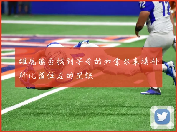 雄鹿能否找到字母的加索尔来填补科比留住后的空缺