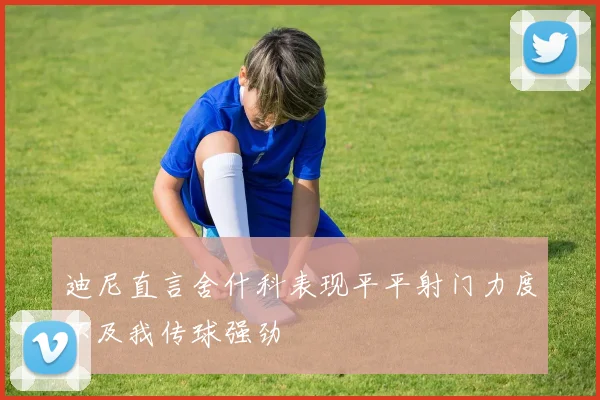 迪尼直言舍什科表现平平射门力度不及我传球强劲