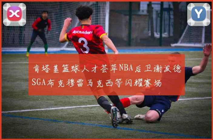 肯塔基篮球人才荟萃NBA后卫谢泼德SGA布克穆雷马克西等闪耀赛场