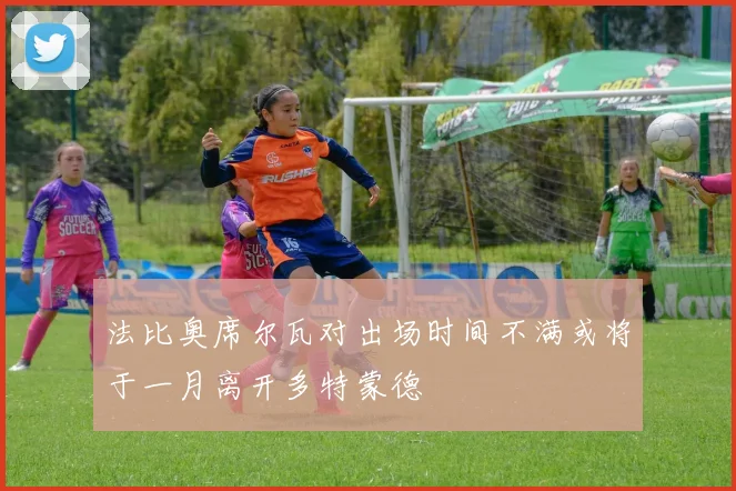法比奥席尔瓦对出场时间不满或将于一月离开多特蒙德